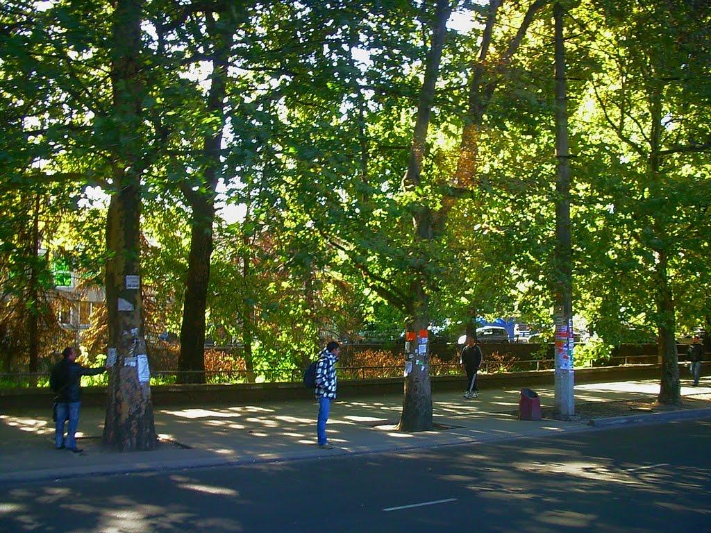 Сімферополь з panoramio.com (ч.13) - Сімферополь