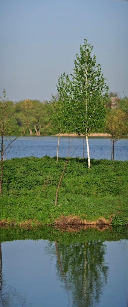 Сквира з panoramio.com - Сквира