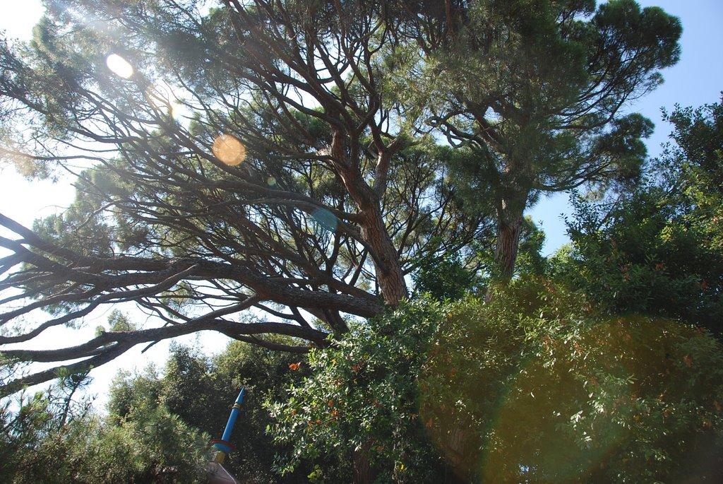 Нікіта з panoramio.com (ч.2) - Нікіта