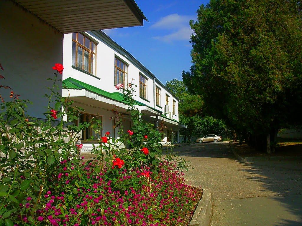 Сімферополь з panoramio.com (ч.13) - Сімферополь