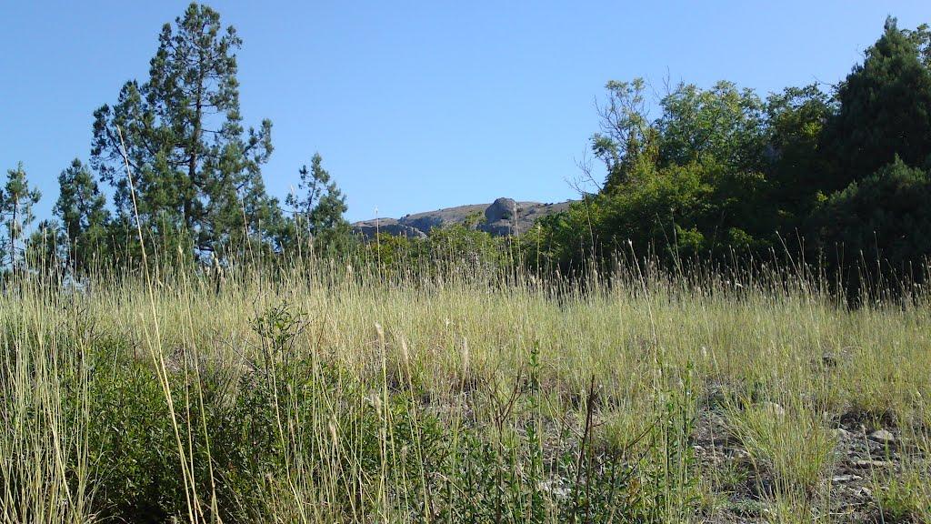 Краснокам'янка з panoramio.com - Краснокам'янка