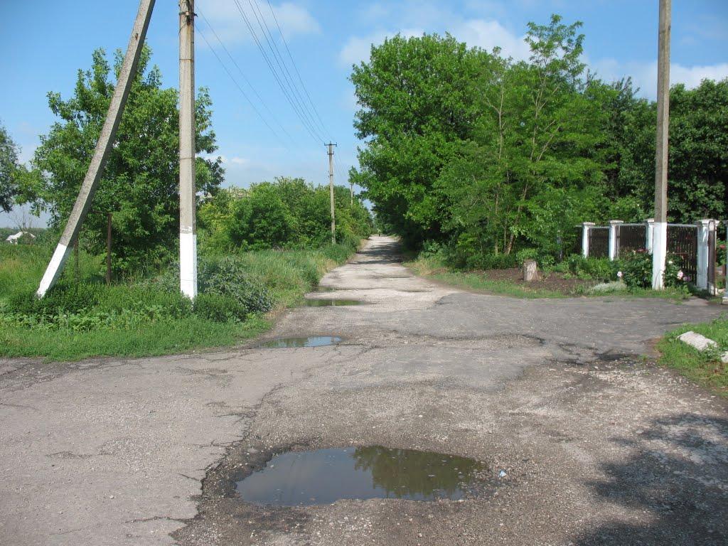 Іллічівське з panoramio.com - Іллічівське