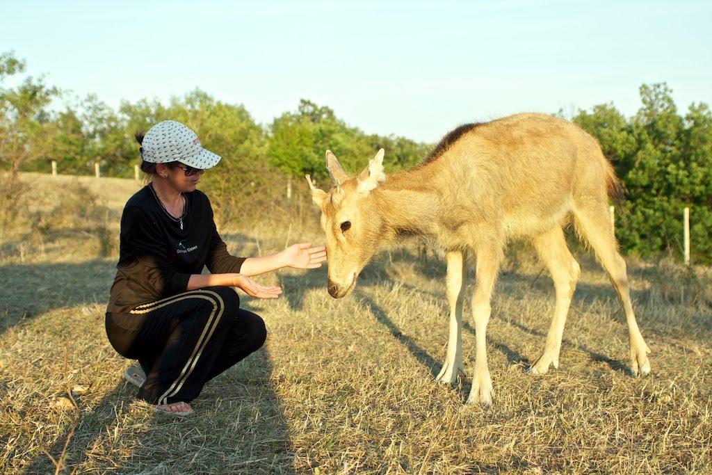 Старий Крим з panoramio.com - Старий Крим