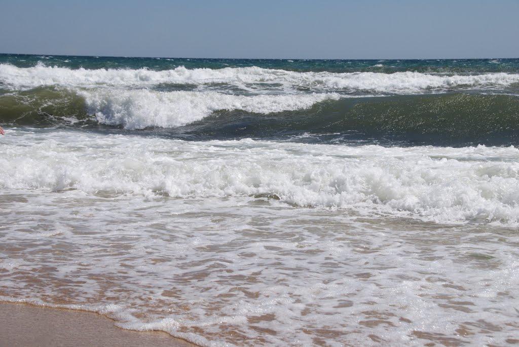 Берегове з panoramio.com - Берегове