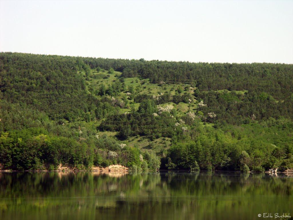 Дністрівка з panoramio.com - Дністрівка