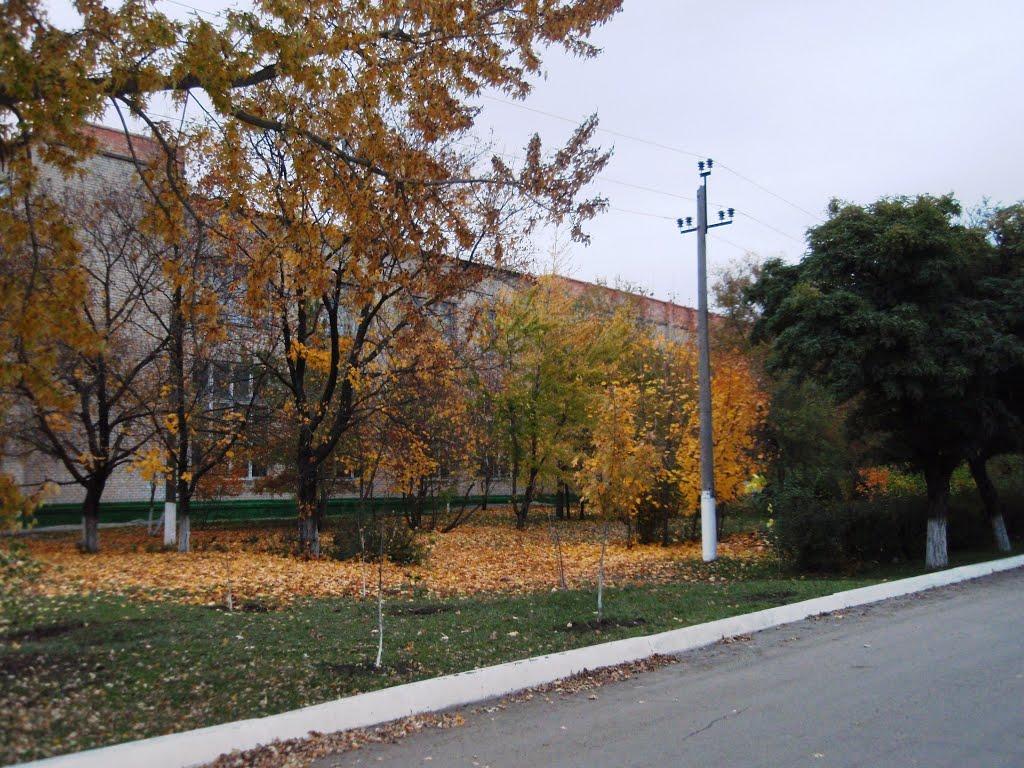 Пологи з panoramio.com - Пологи