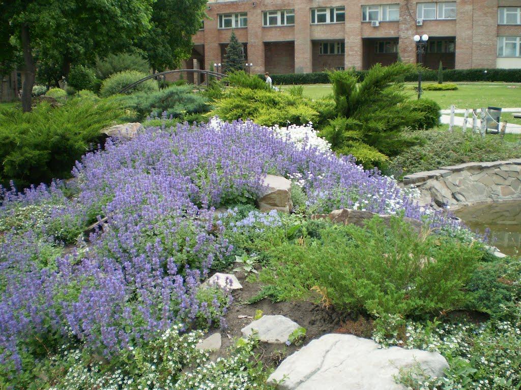 Луганськ з panoramio.com (ч.7) - Луганск