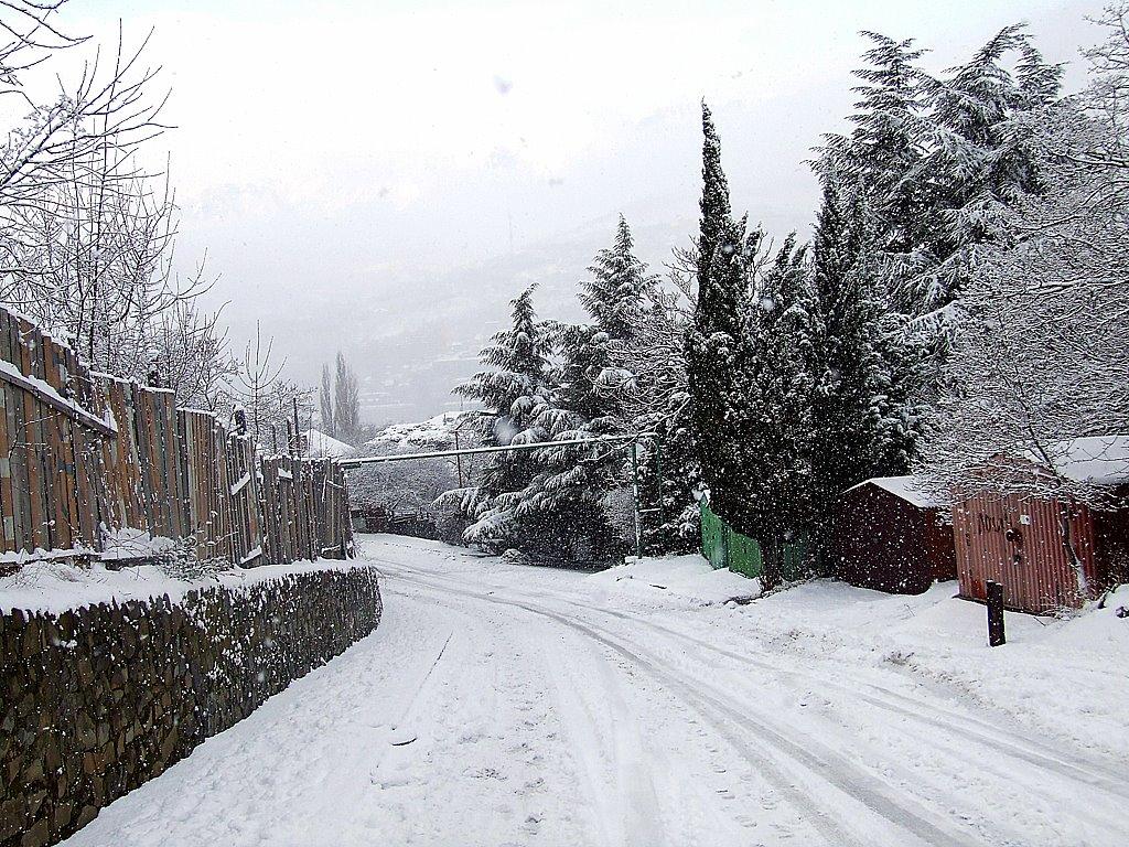 Ялта з panoramio.com (ч.5) - Ялта