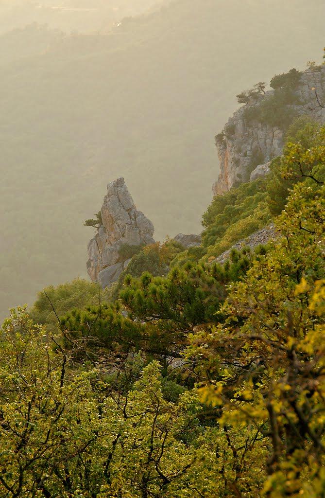 Голуба Затока з panoramio.com (ч.2) - Голуба Затока