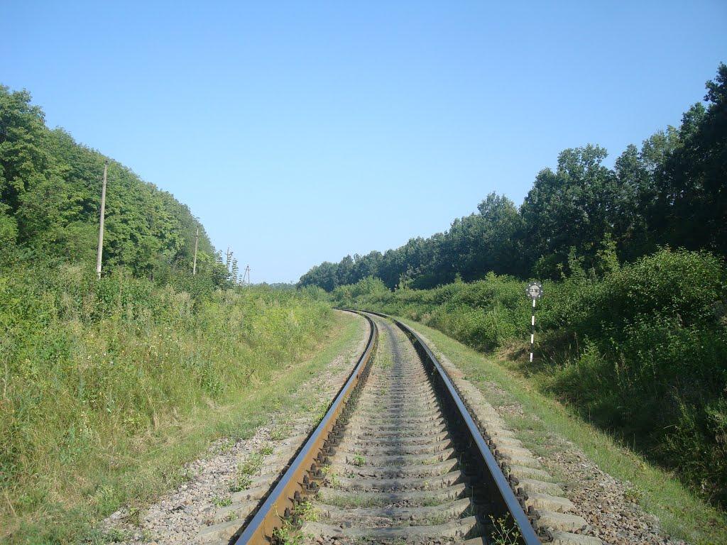 Панівці з panoramio.com - Panivtsi