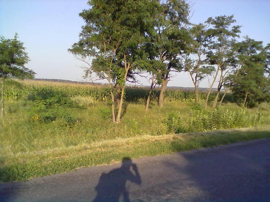 Пришиб з panoramio.com - Пришиб