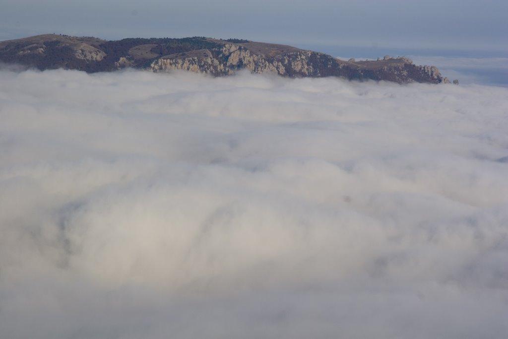 Лаванда з panoramio.com (ч.2) - Лаванда