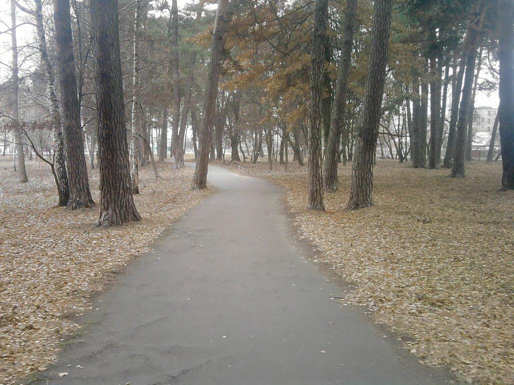 Шепетівка з panoramio.com (ч.2) - Шепетівка