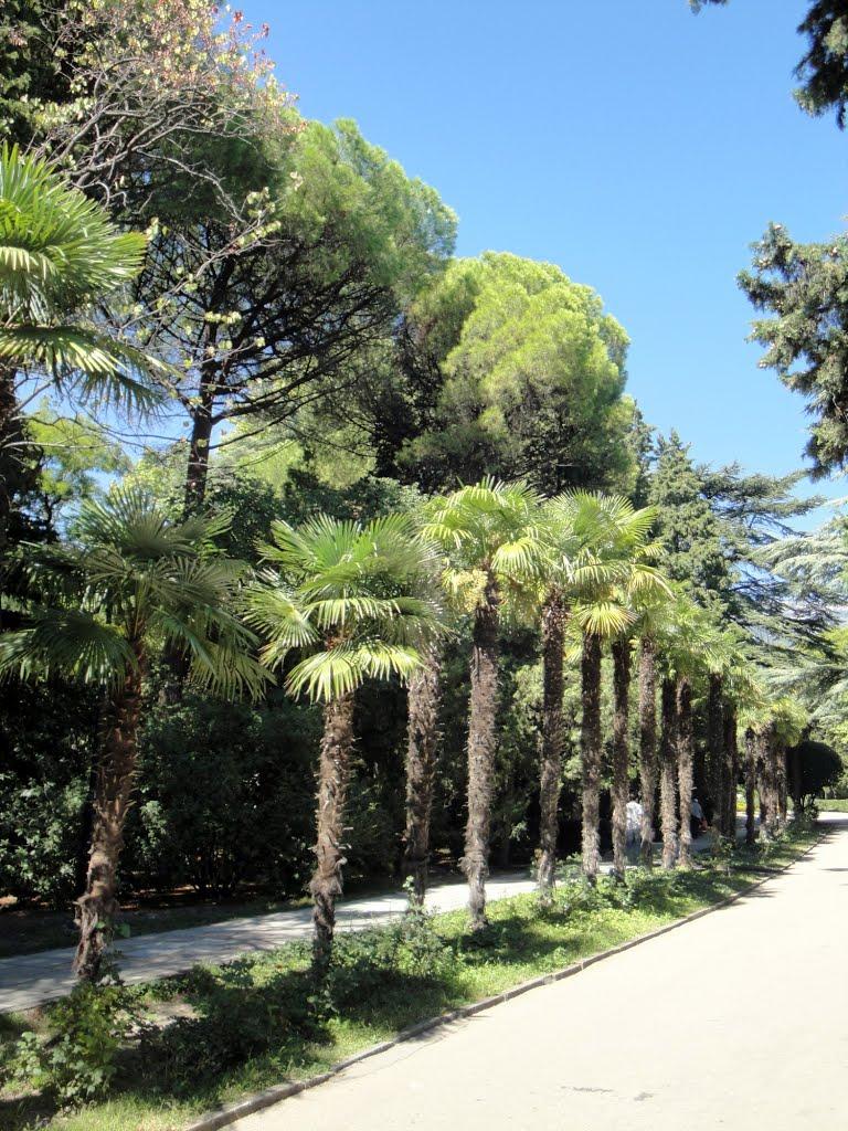 Гурзуф з panoramio.com (ч.3) - Гурзуф