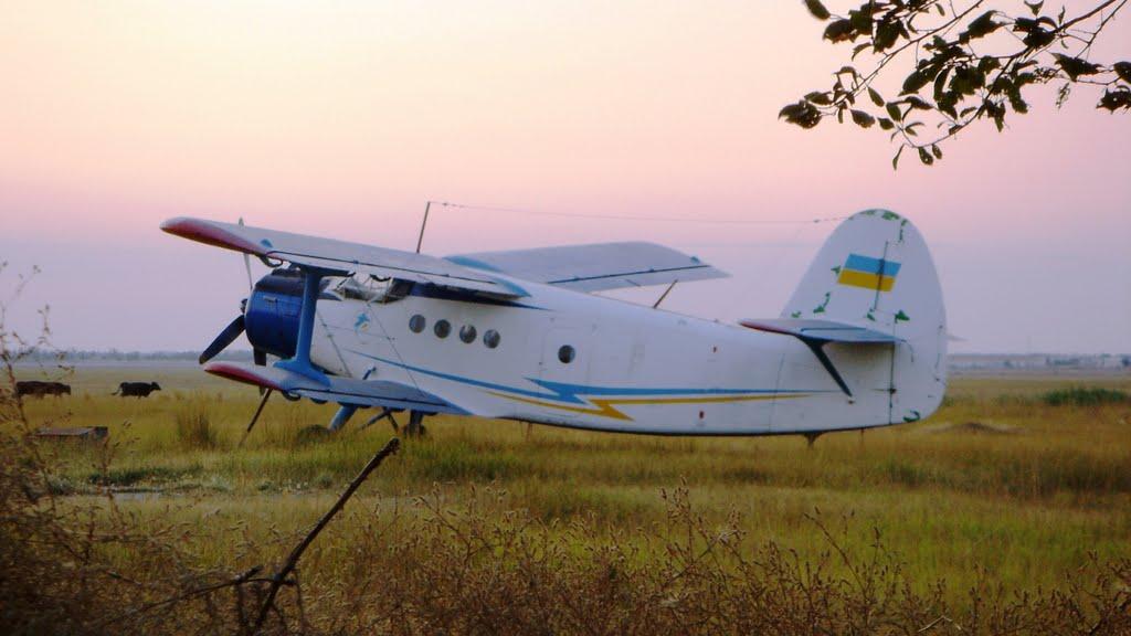 Скадовськ з panoramio.com - Скадовськ