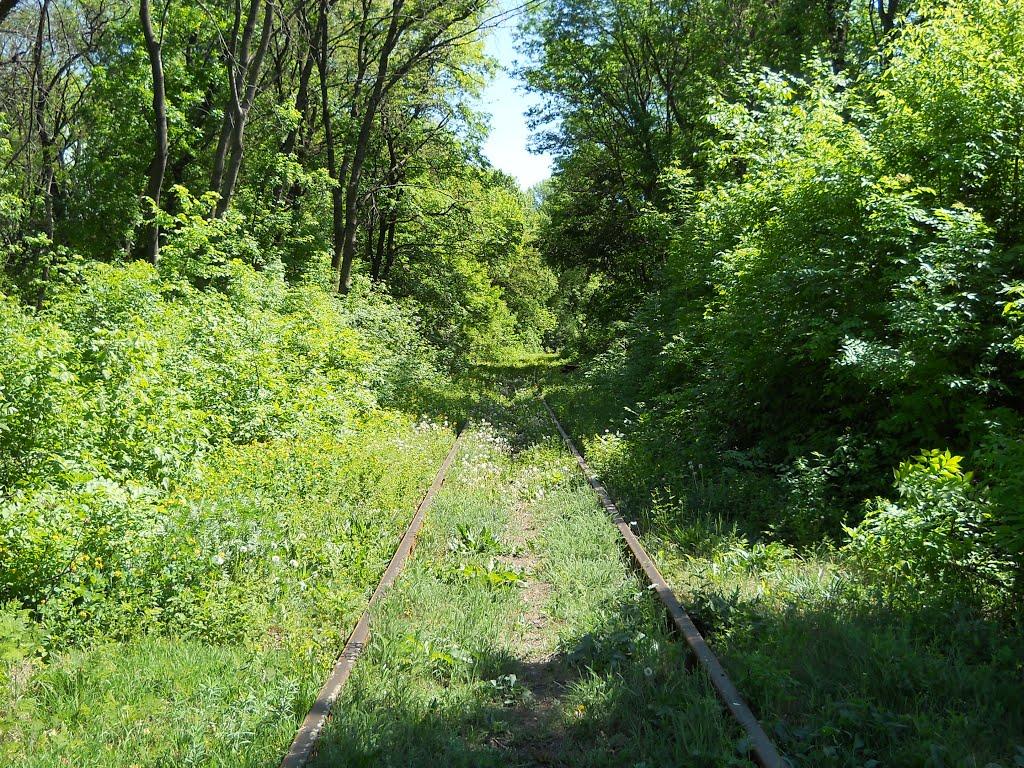 Донецьк з panoramio.com (ч.12) - Донецьк