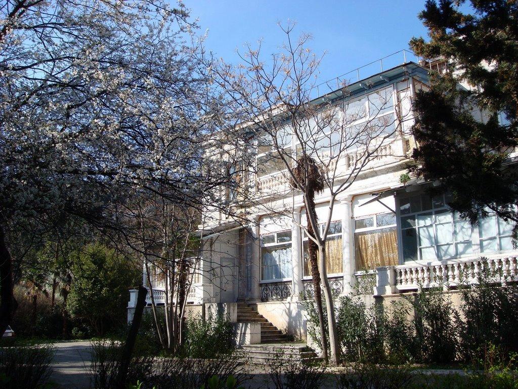 Сімеїз з panoramio.com (ч.2) - Сімеїз