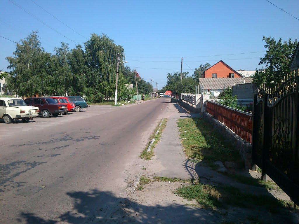 Рокитне з panoramio.com - Рокитне