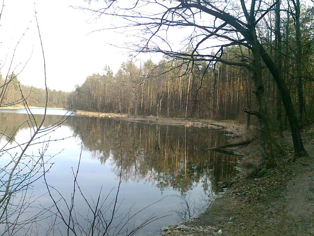 Коцюбинське з panoramio.com (ч.3) - Коцюбинське