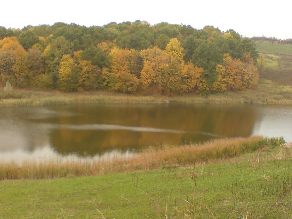 Таранівка з panoramio.com - Taranivka