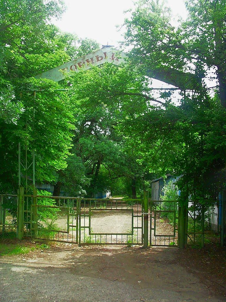 Краснолісся з panoramio.com - Краснолісся