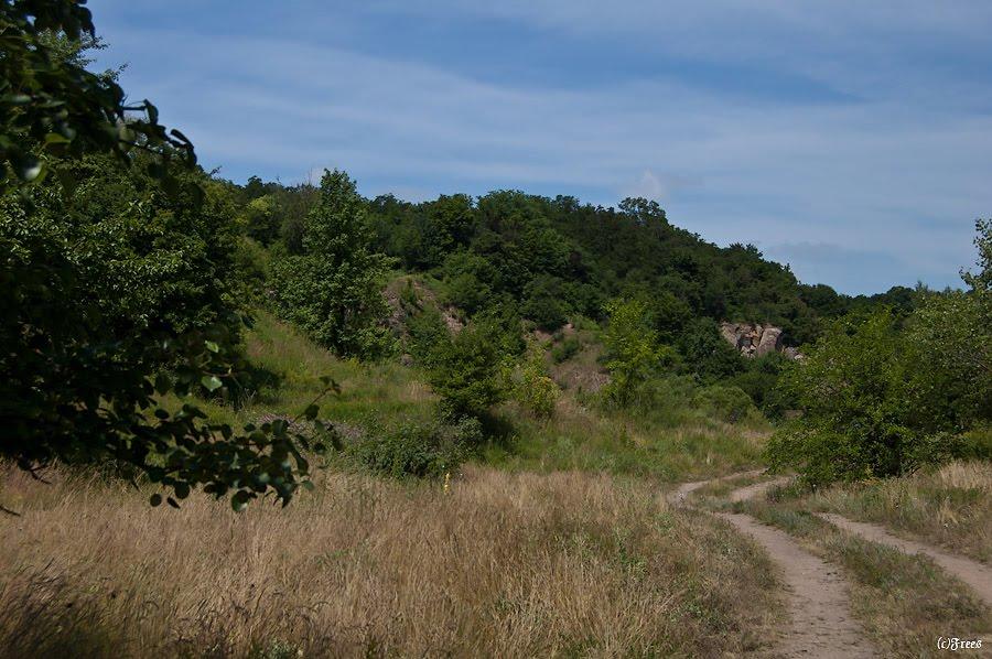 Буки з panoramio.com - Буки