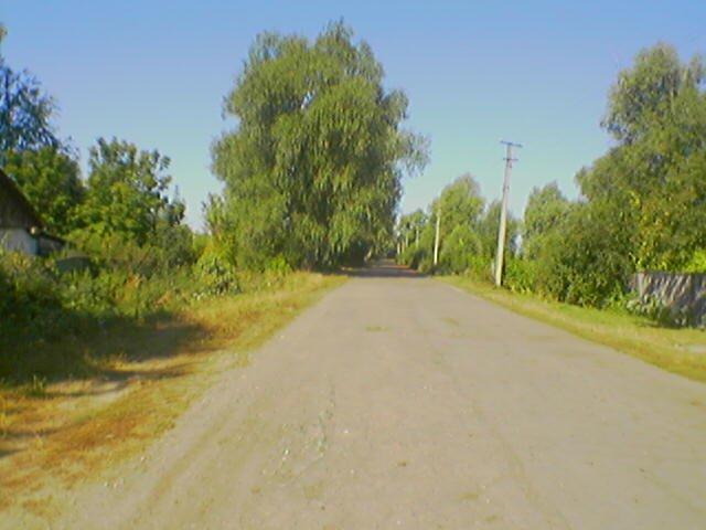 Дрімайлівка з panoramio.com - Дрімайлівка