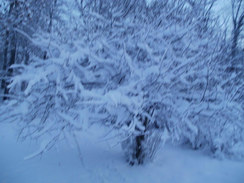 Доманівка з panoramio.com - Доманівка