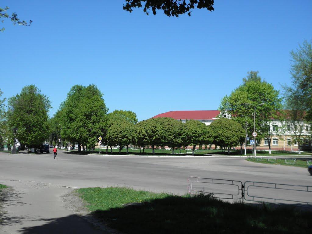 Новгород-Сіверський з panoramio.com - Новгород-Сіверський