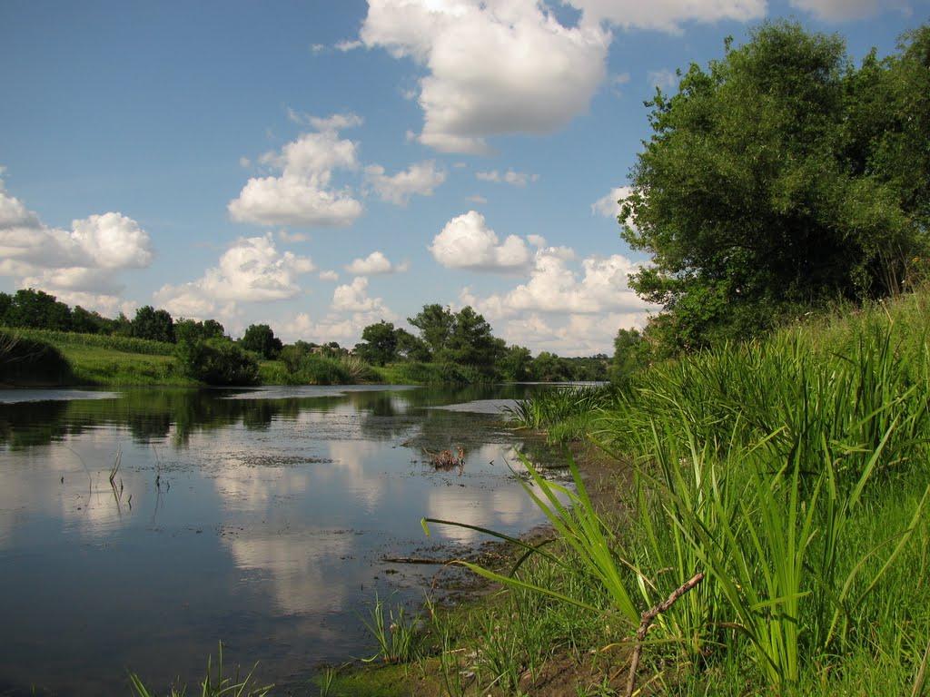 Недайвода з panoramio.com - Недайвода