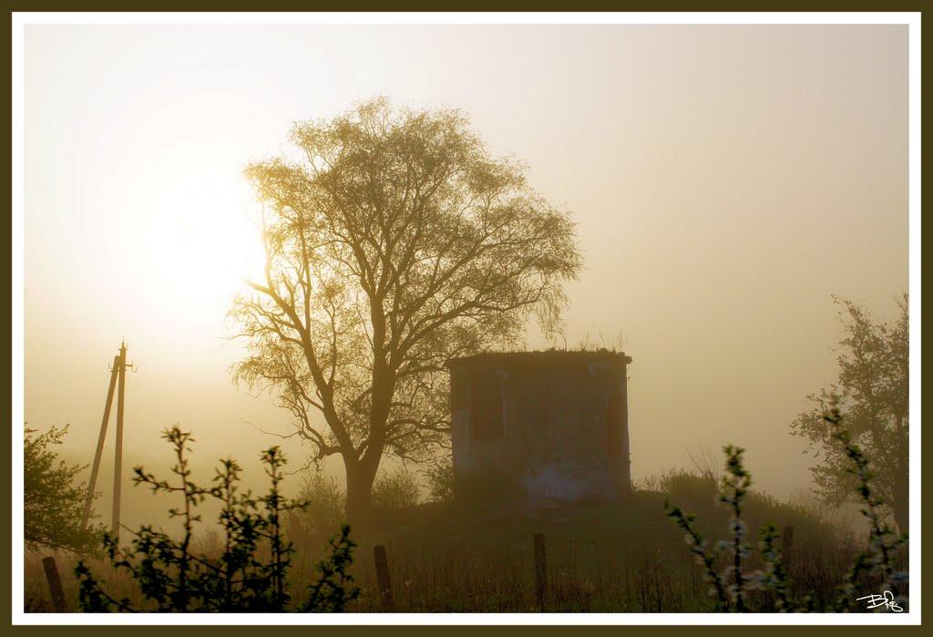 Нижнє з panoramio.com - Нижнє