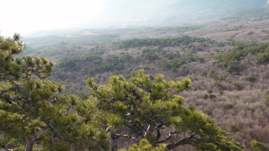 Гурзуф з panoramio.com (ч.3) - Гурзуф