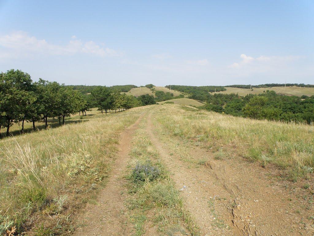 Міусинськ з panoramio.com (ч.2) - Міусинськ