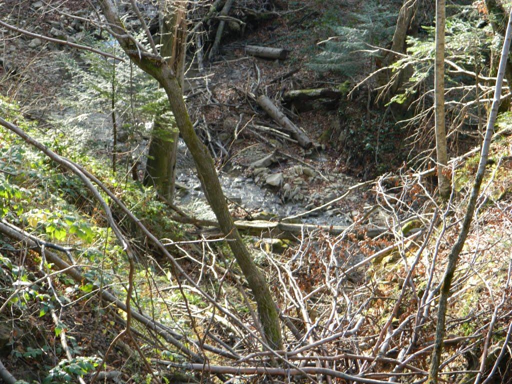 Борислав з panoramio.com - Борислав