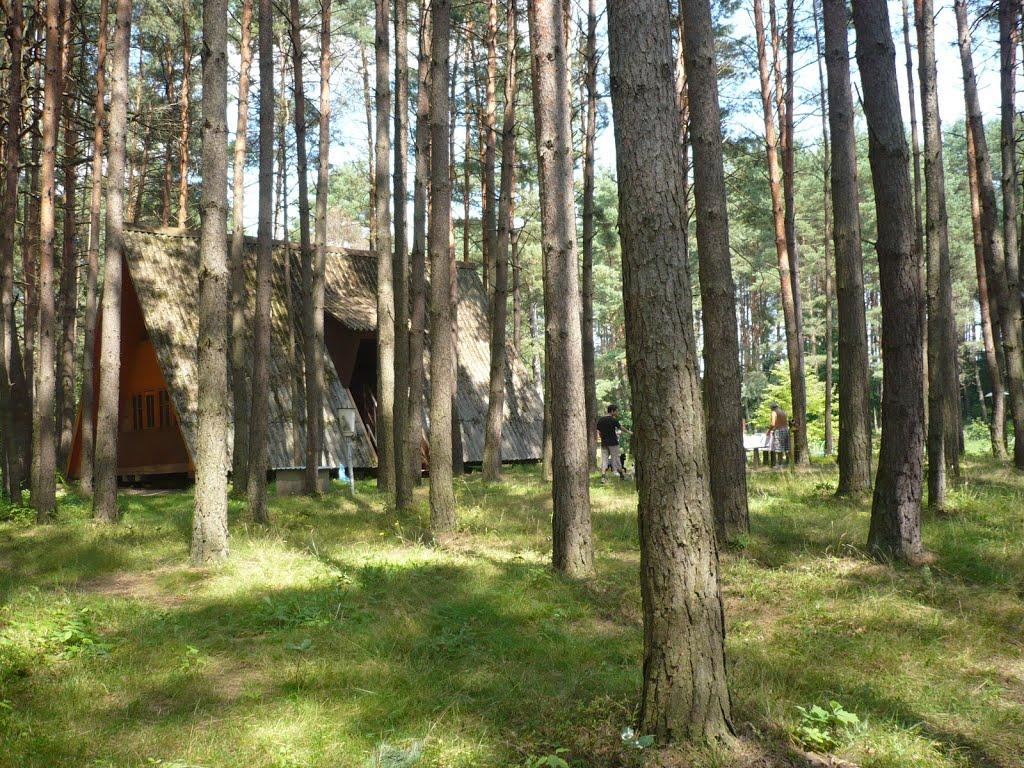 Бортятин з panoramio.com - Бортятин