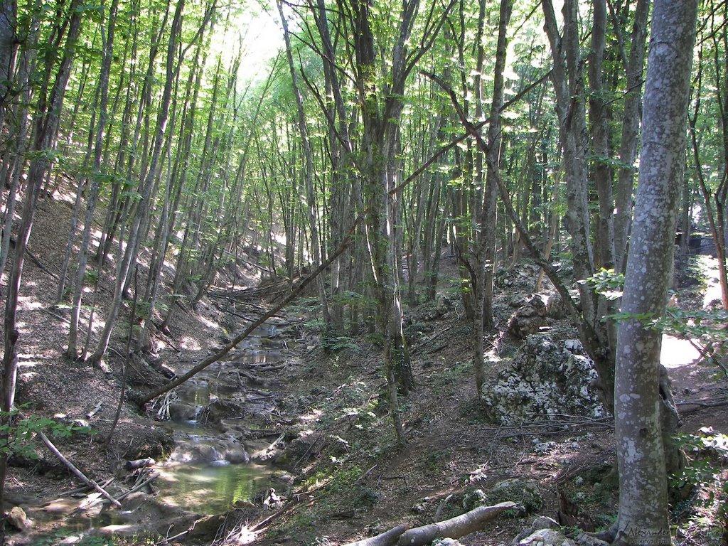 Соколине з panoramio.com (ч.2) - Соколиное