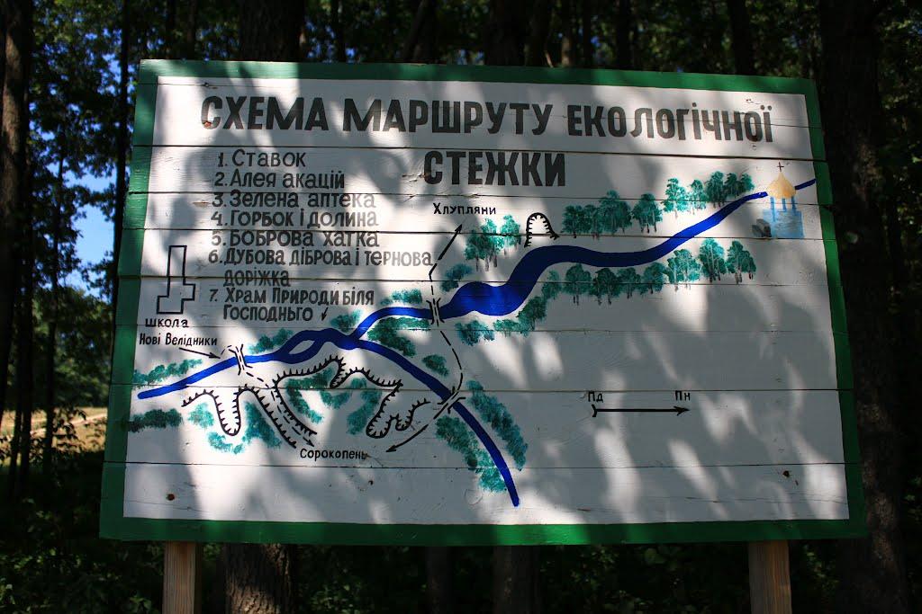 Нові Велідники з panoramio.com - Нові Велідники