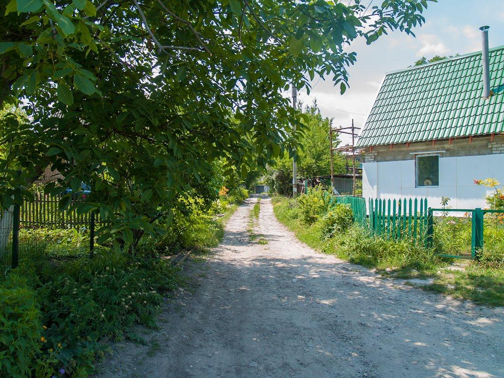 Станично-Луганське з panoramio.com (ч.2) - Станично-Луганское