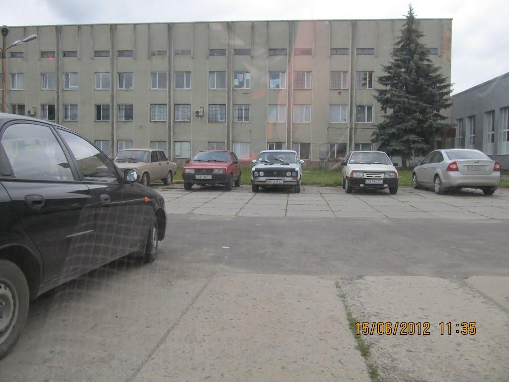 Велика Березовиця з panoramio.com - Велика Березовиця