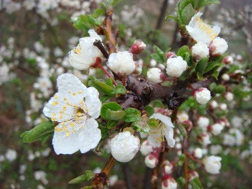 Кореїз з panoramio.com (ч.2) - Кореїз