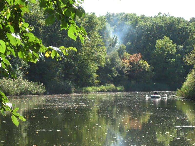 Вільне з panoramio.com - Вільне