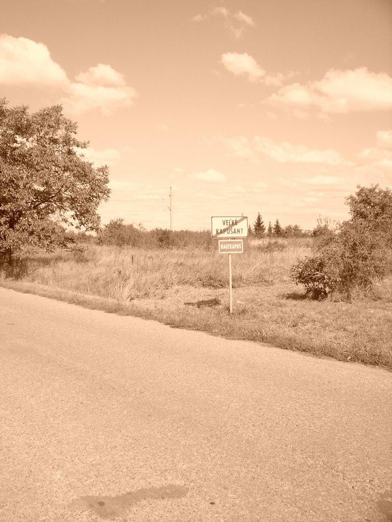 Розівка з panoramio.com (ч.2) - Розівка