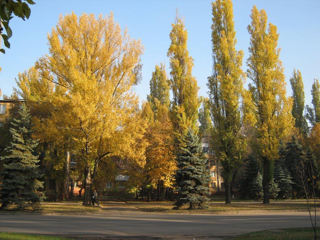 Кривий Ріг з panoramio.com (ч.9) - Кривой Рог