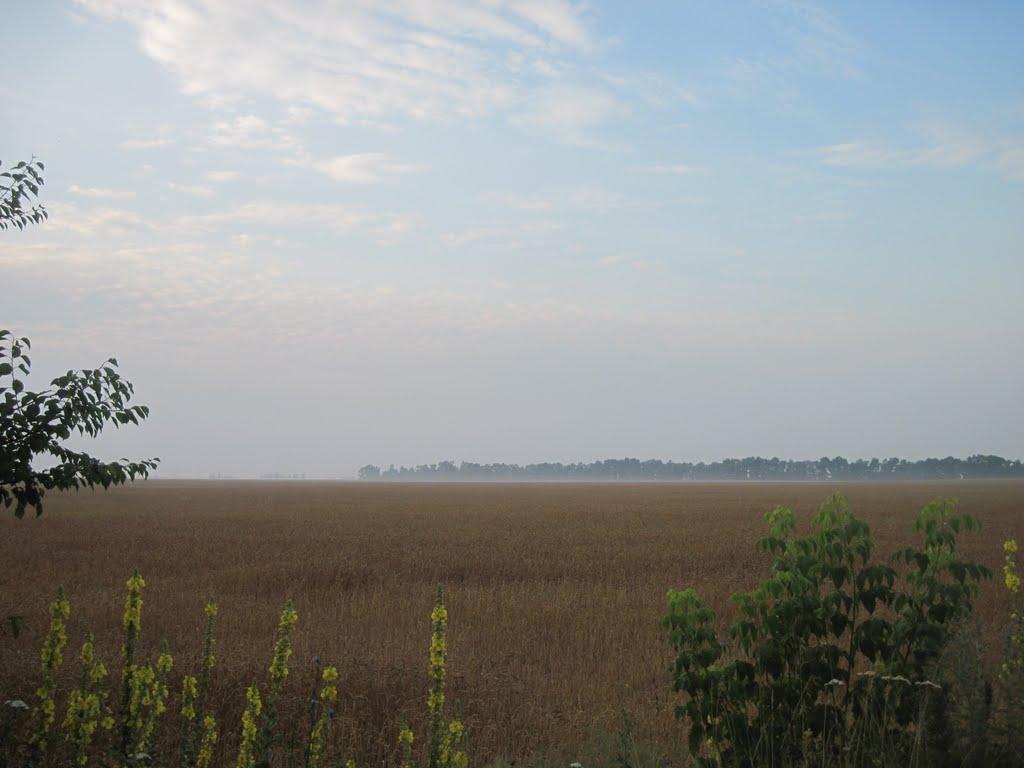 Запсілля з panoramio.com - Запсілля