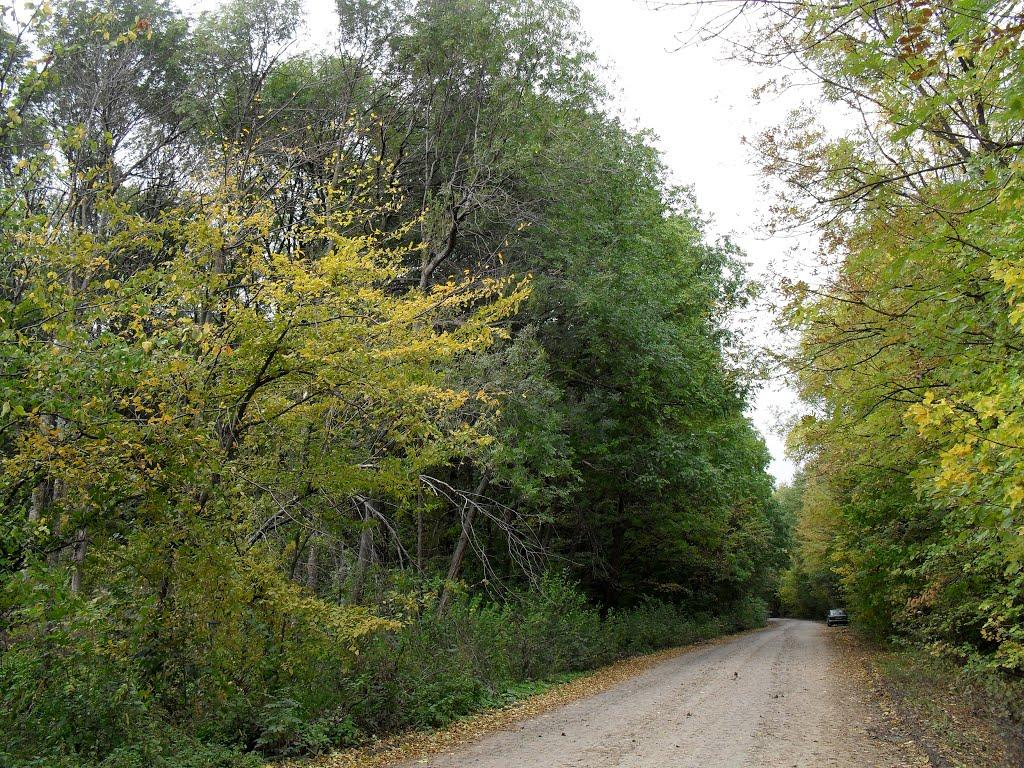 Велика Стратіївка з panoramio.com - Велика Стратіївка