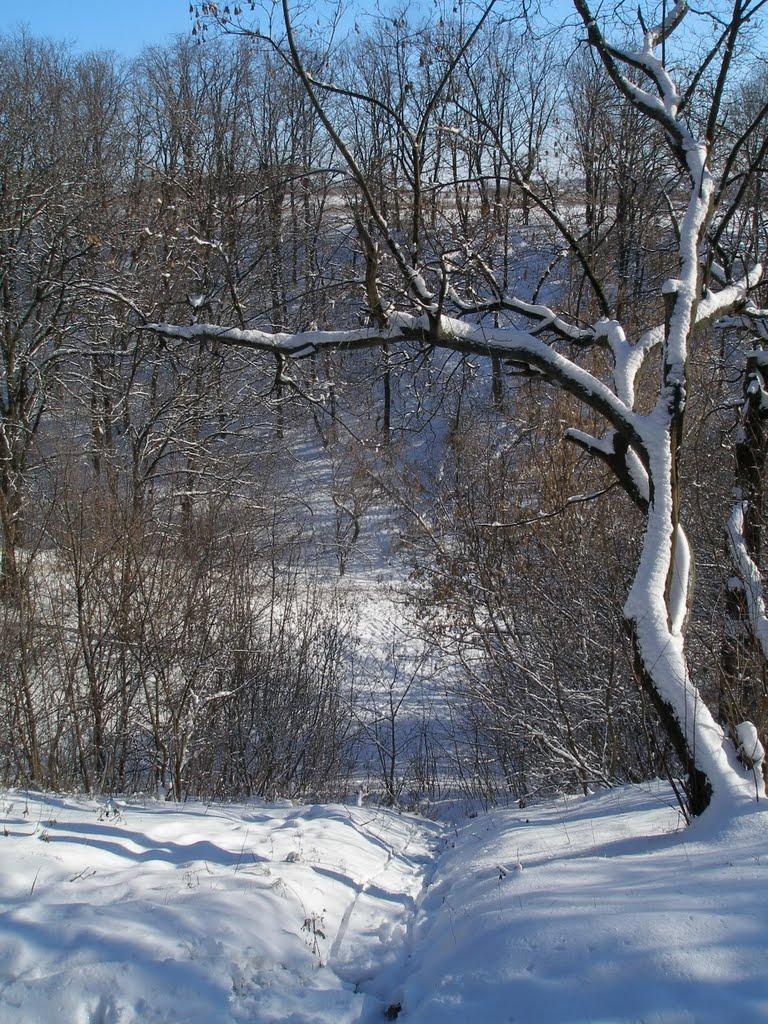 Кулиничі з panoramio.com - Кулиничі