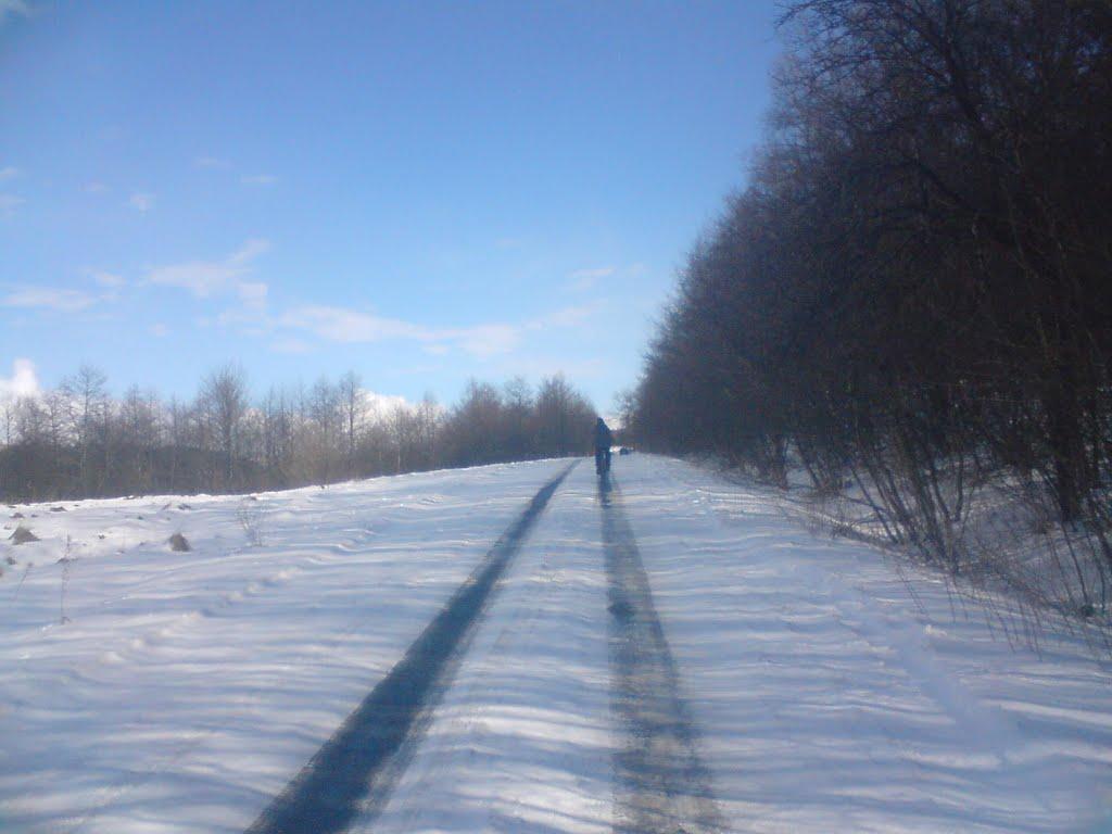 Монастириська з panoramio.com - Монастириська