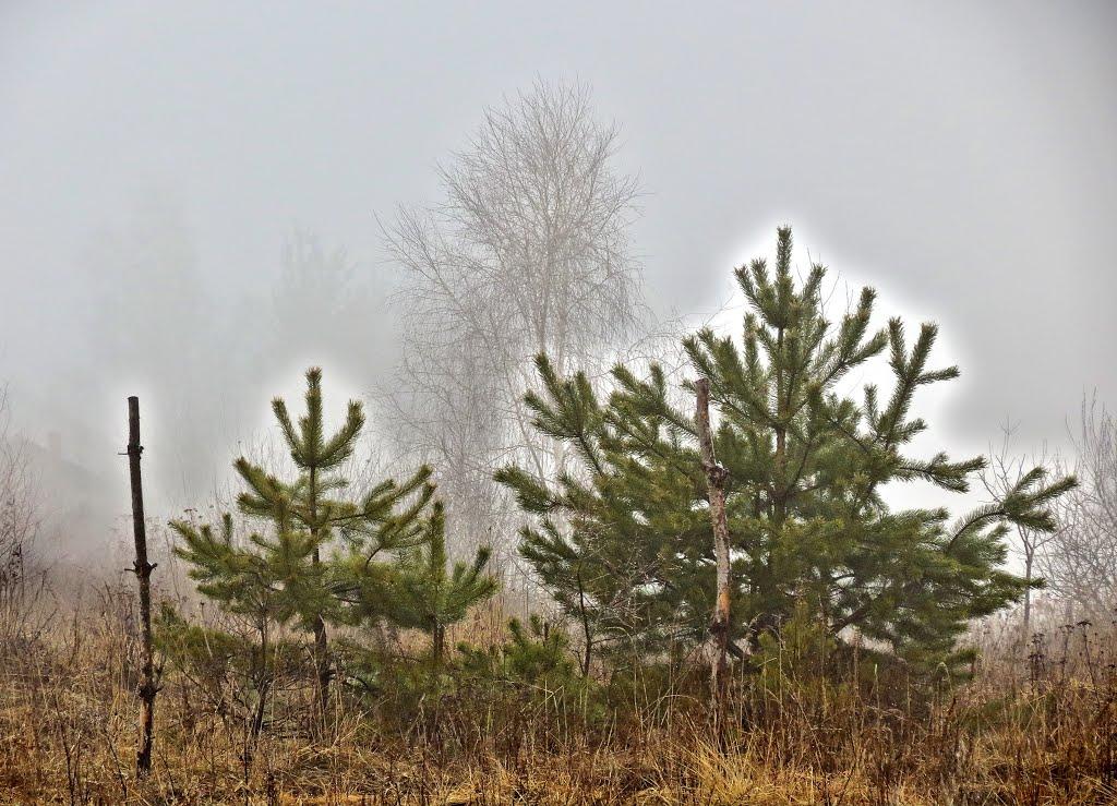 Рясне-Руське з panoramio.com - Рясне-Руське