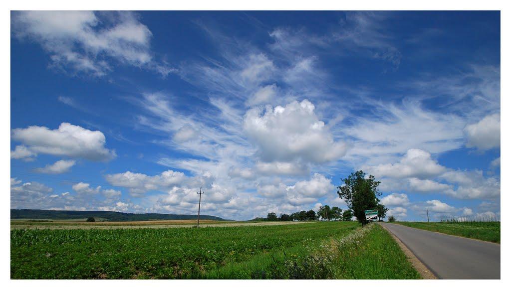 Трушевичі з panoramio.com - Трушевичі