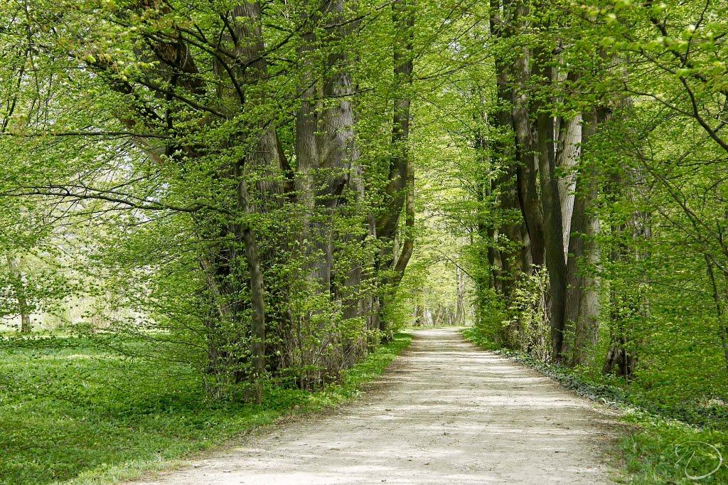 Трушевичі з panoramio.com - Трушевичі